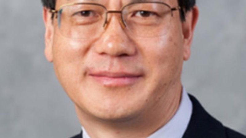 引言：连接与分离的艺术