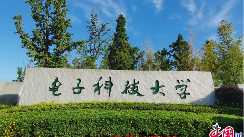 QFN与DFN封装：揭秘两种芯片封装类型的差异