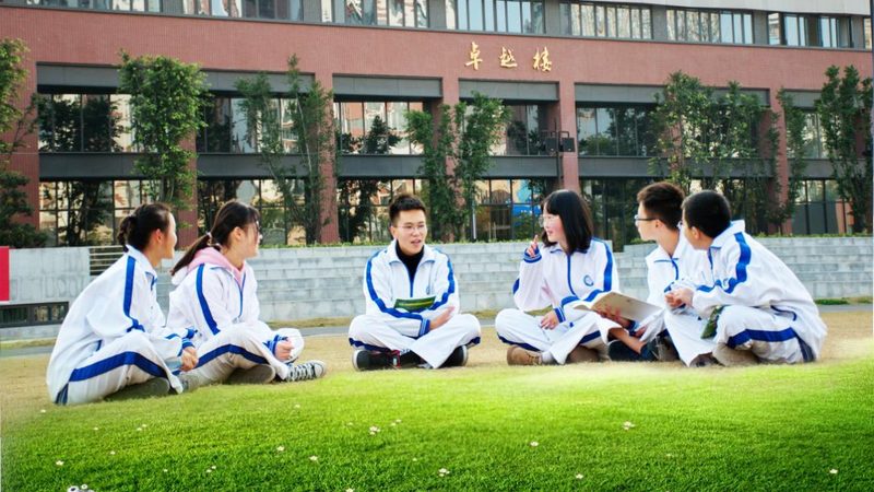 电子元件安装培训教程：从基础到实践**